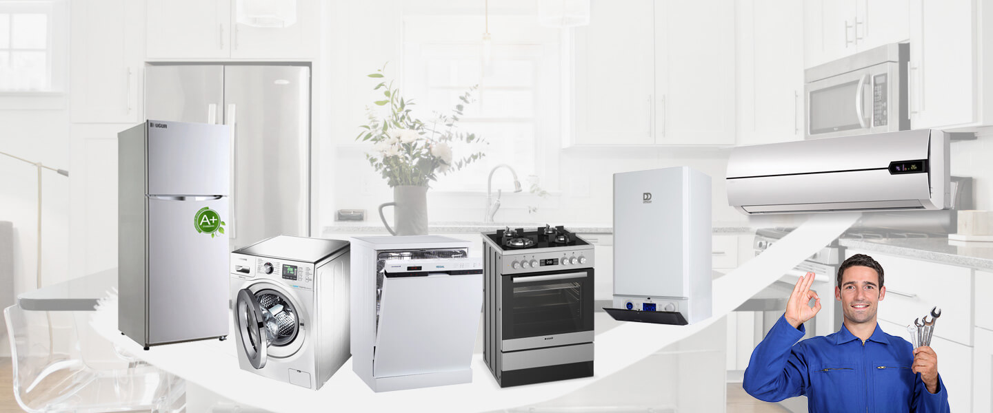 Efeler Silverline Servisi